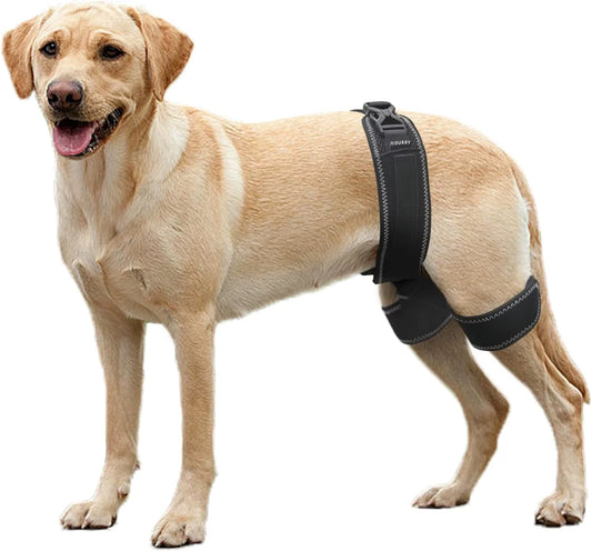 FlexiPaws Hip Brace – Comfort & Support for Stronger, Healthier Hips
